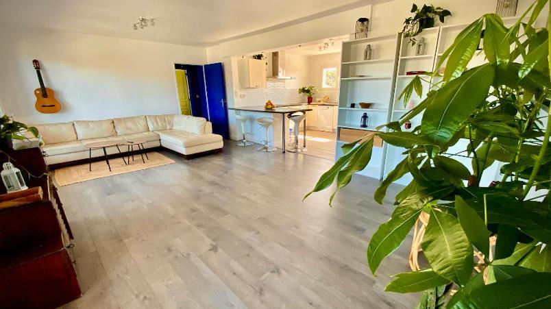 Sewa Surf House 10Min De Capbreton Hossegor Otel Bénesse-Maremne Dış mekan fotoğraf