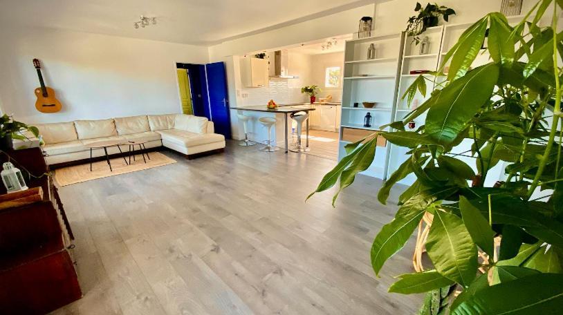 Sewa Surf House 10Min De Capbreton Hossegor Otel Bénesse-Maremne Dış mekan fotoğraf